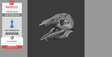 Stenonychosaurus Skull - Skull Replica STL