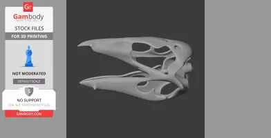 Stenonychosaurus Skull - Skull Replica STL