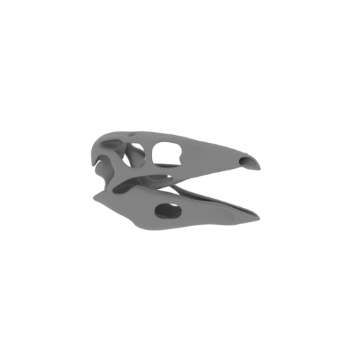 Stenonychosaurus Skull.stl