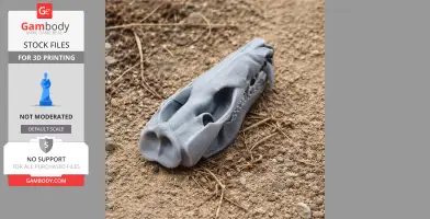 Striped Possum Skull - Skull Replica STL
