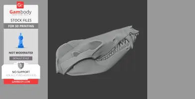 Striped Possum Skull - Skull Replica STL