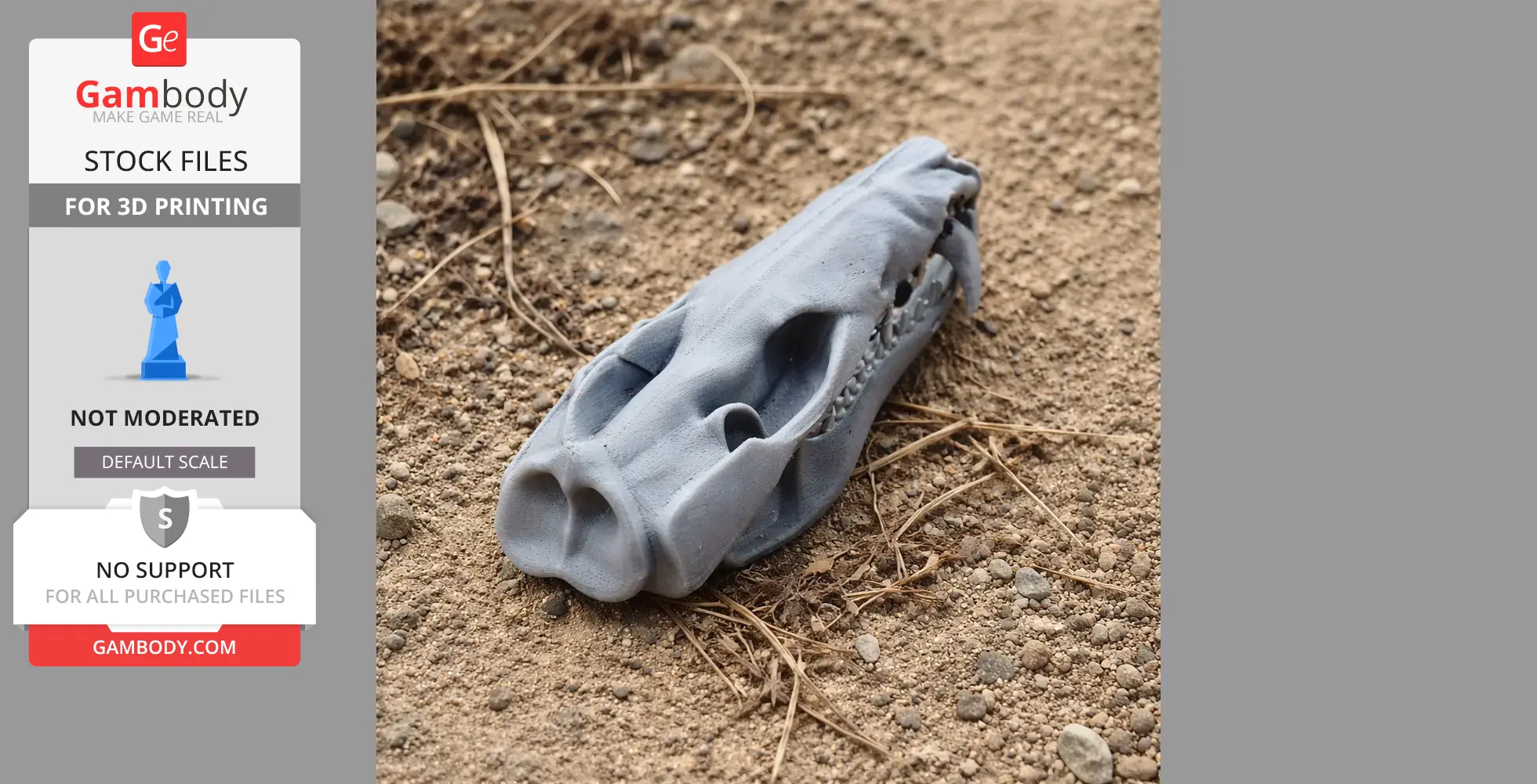 Striped Possum Skull - Skull Replica STL
