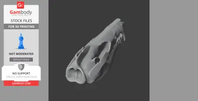 Striped Possum Skull - Skull Replica STL