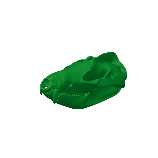 Striped Possum Skull.3mf