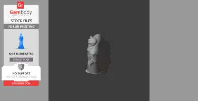 Lazaram - Lost Ark Figurine - Character Figure STL