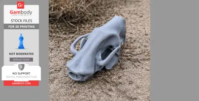 Striped Skunk Skull - Skull Replica STL