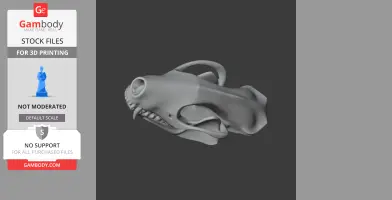 Striped Skunk Skull - Skull Replica STL