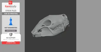 Striped Skunk Skull - Skull Replica STL