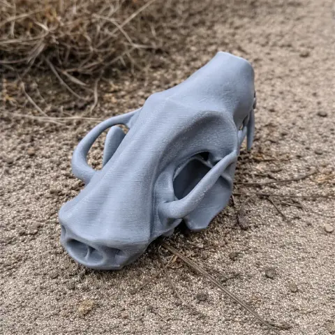 3D-printed striped skunk skull replica on sandy ground.