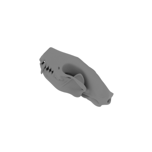 Striped Skunk Skull.stl