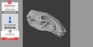 Striped Skunk Skull - Skull Replica STL