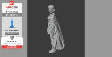 3D model of a detailed character in a cape, suitable for 3D printing, shown in side profile.