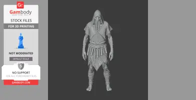 Hooded figure with tentacle-like mask, medieval attire, and detailed texture for 3D printing.