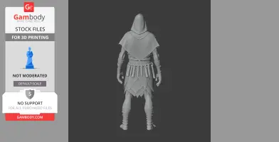 Hooded figure in layered attire with arm wraps and skirt, viewed from behind, for 3D printing.