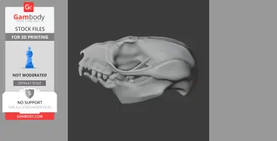 Side view of a detailed 3D sugar glider skull model on a gray background.