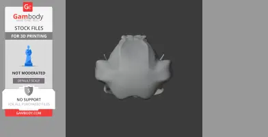 Top view of a smooth-rendered sugar glider skull model for 3D printing.