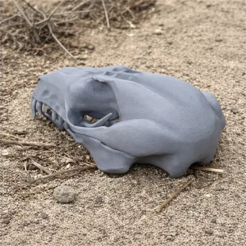 3D-printed sugar glider skull replica on a sandy surface with twigs around.