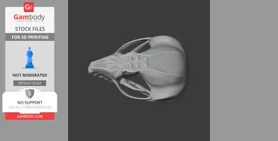 3D model of a sugar glider skull replica, viewed from above, ready for 3D printing.