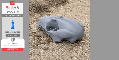 A 3D-printed sugar glider skull replica resting on sandy ground.