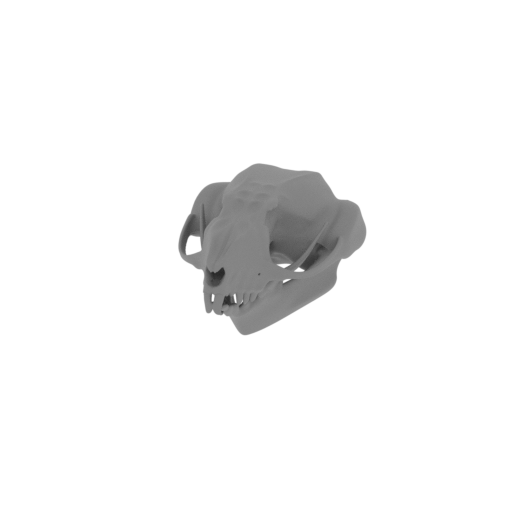 Sugar Glider Skull.stl