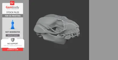 3D model of a sugar glider skull, detailed for 3D printing, shown in side view.
