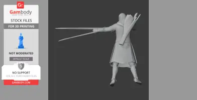 A 3D model of a cloaked figure with swords drawn, ready for printing.