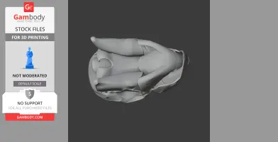 3D model of a Sulphur-crested Cockatoo skull, viewed from above, with detailed bone structures.