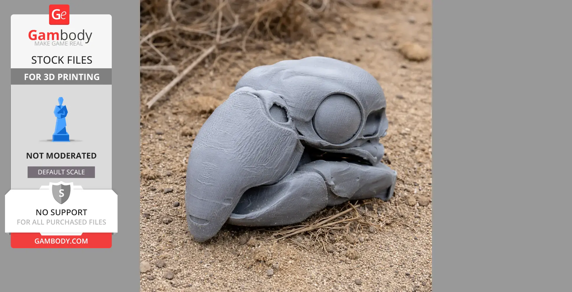 A 3D-printed replica of a sulphur-crested cockatoo skull on sandy ground.
