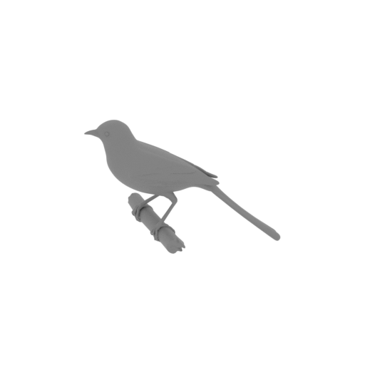 Bahia wagtail-tyrant.stl