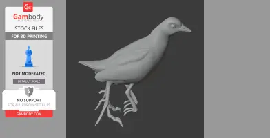 Baillon's crake - Prehistoric Animal STL