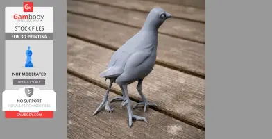 Baillon's crake - Prehistoric Animal STL