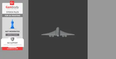 Concorde Supersonic - Scale Vehicle STL