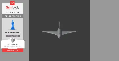 Concorde Supersonic - Scale Vehicle STL