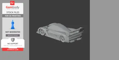 Corvette Daytona Prototype - Scale Vehicle STL