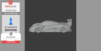Corvette Daytona Prototype - Scale Vehicle STL