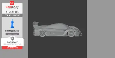 Corvette Daytona Prototype - Scale Vehicle STL