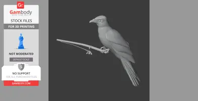 Baird's trogon - Prehistoric Animal STL