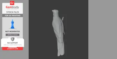 Baird's trogon - Prehistoric Animal STL