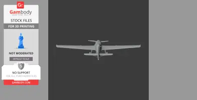 Front view of a 3D model of a small racing airplane, ready for 3D printing.