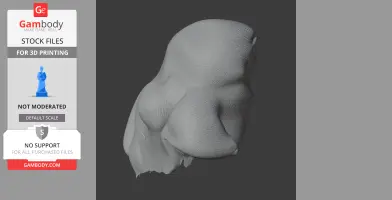 Baja pygmy owl - Prehistoric Animal STL