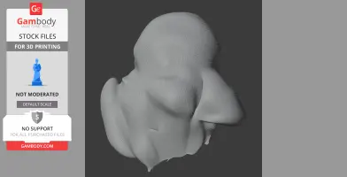 Baja pygmy owl - Prehistoric Animal STL