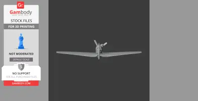 Front view of a 3D model of the Cranfield A1 Eagle airplane for 3D printing.