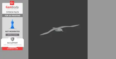 Balearic shearwater - Prehistoric Animal STL