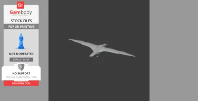 Balearic shearwater - Prehistoric Animal STL