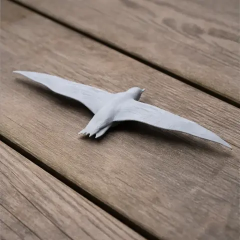 3D printed model of a Balearic shearwater with wings spread, displayed on a wooden surface.