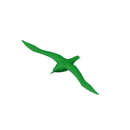 Balearic shearwater.3mf