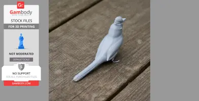 A 3D printed model of a bird, resembling a Balearic warbler, on a wooden surface.