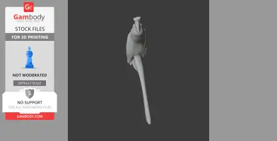 A 3D model of a bird-like prehistoric creature with a long tail displayed in a vertical orientation.