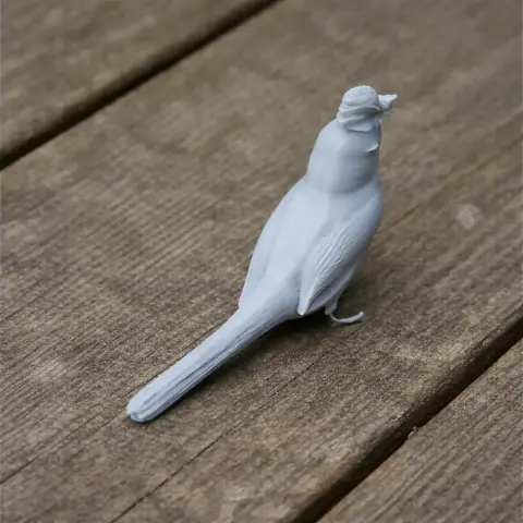 3D-printed model of a bird with detailed feathers and a prominent crest, sitting on a wooden surface.