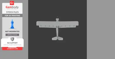 A top view of a 3D printable scale model airplane with a single wing design.
